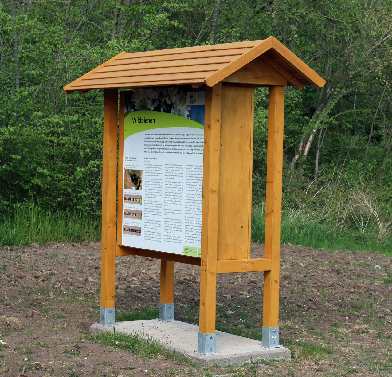 Wildbienenwissen im Naturpark Unteres Saaletal