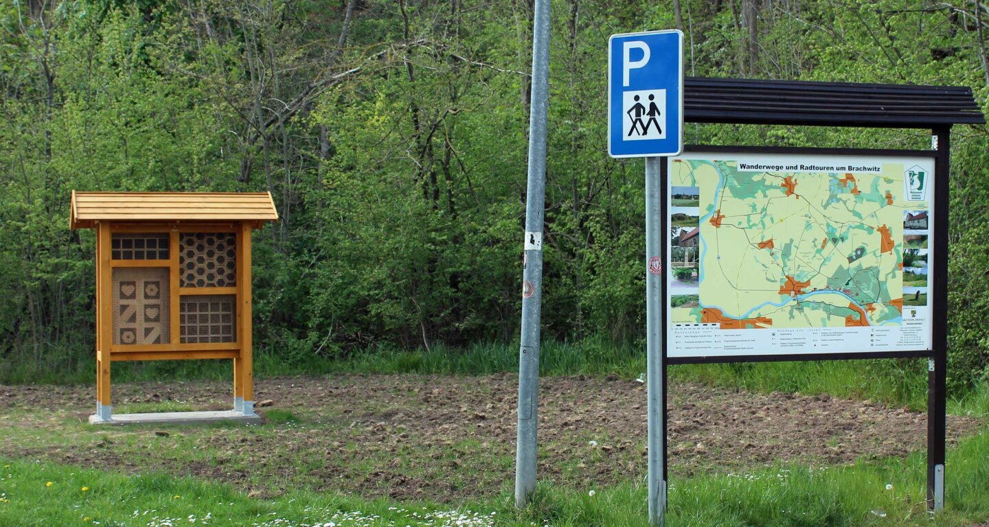 Wildbienenwissen im Naturpark Unteres Saaletal
