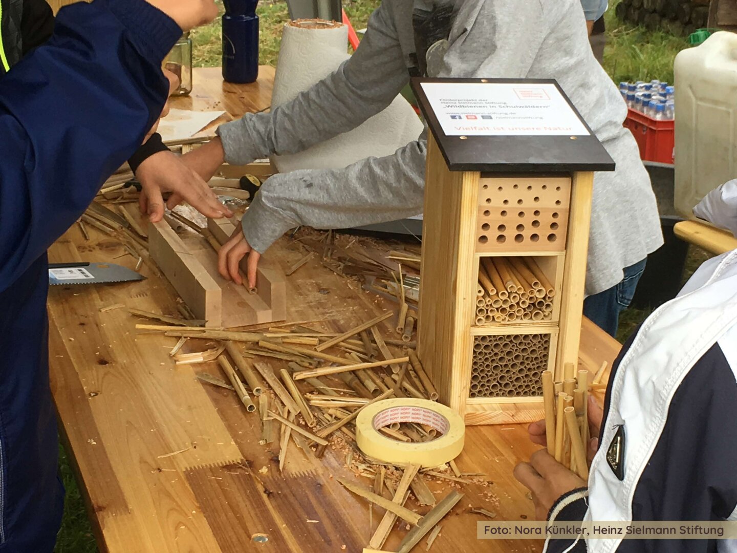 Wildbienen-Projekttage der Heinz Sielmann Stiftung