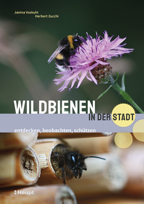 Buch "Wildbienen in der Stadt"