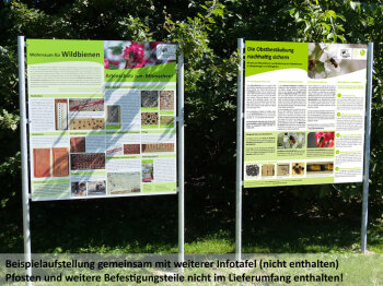 Informationstafel Bestäubung durch Wildbienen