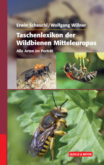 Taschenlexikon der Wildbienen Mitteleuropas