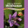 Syringa Wildblumen f&uuml;r Wildbienen einj&auml;hrig 10 m&sup2;