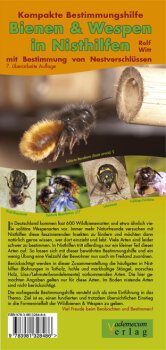 Bestimmungshilfe Wildbienen und Wespen