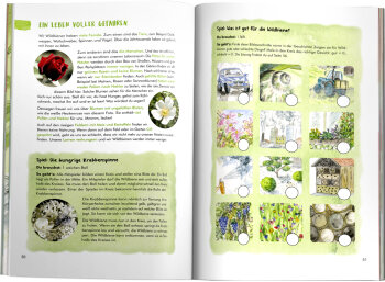 Kinderbuch "Mein Wildbienen-Buch"