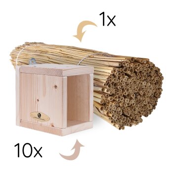 Maxi-Set Insektenhotel Rohlinge inkl. Schilf für 10 Nisthilfen