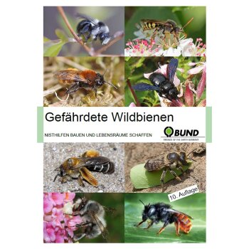 BUND Broschüre Gefährdete Wildbienen